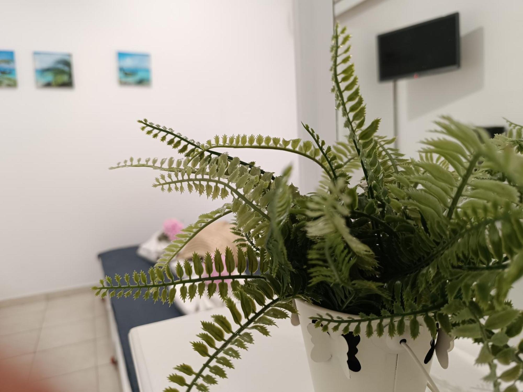 Nautilus City Studios & Apartments Rhodes City Δωμάτιο φωτογραφία